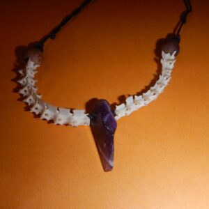 Amethyst/Schlangenwirbelsäule