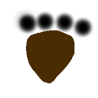 Animal Symbol